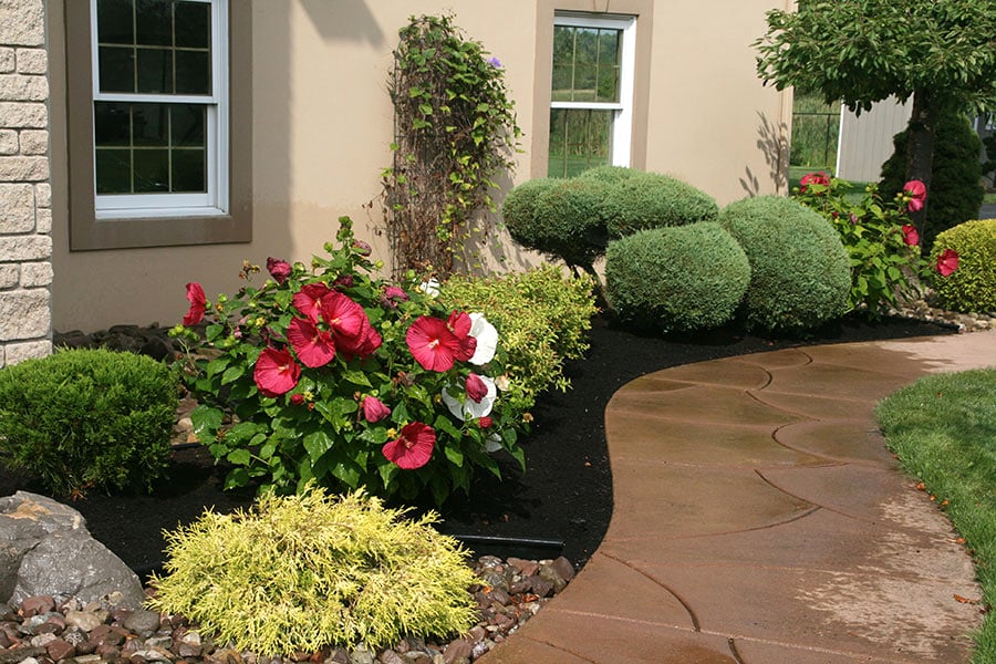 Lush Gardens with Buffalo Compost