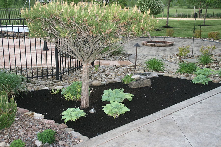 premium compost supplier in Buffalo, NY