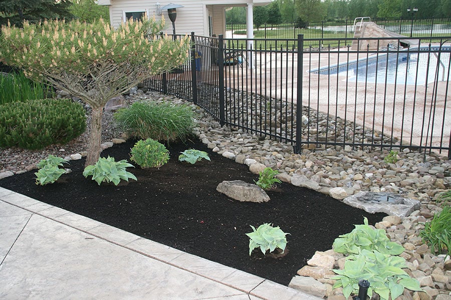 Top-grade compost from CJ Krantz transforming a Kenmore garden into a lush paradise