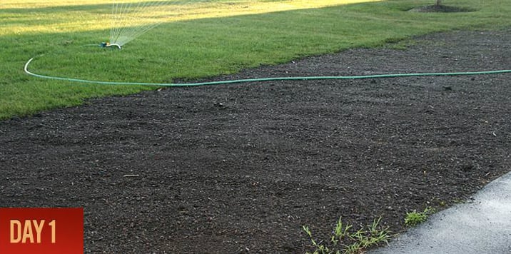 Premium Topsoil in Buffalo, NY