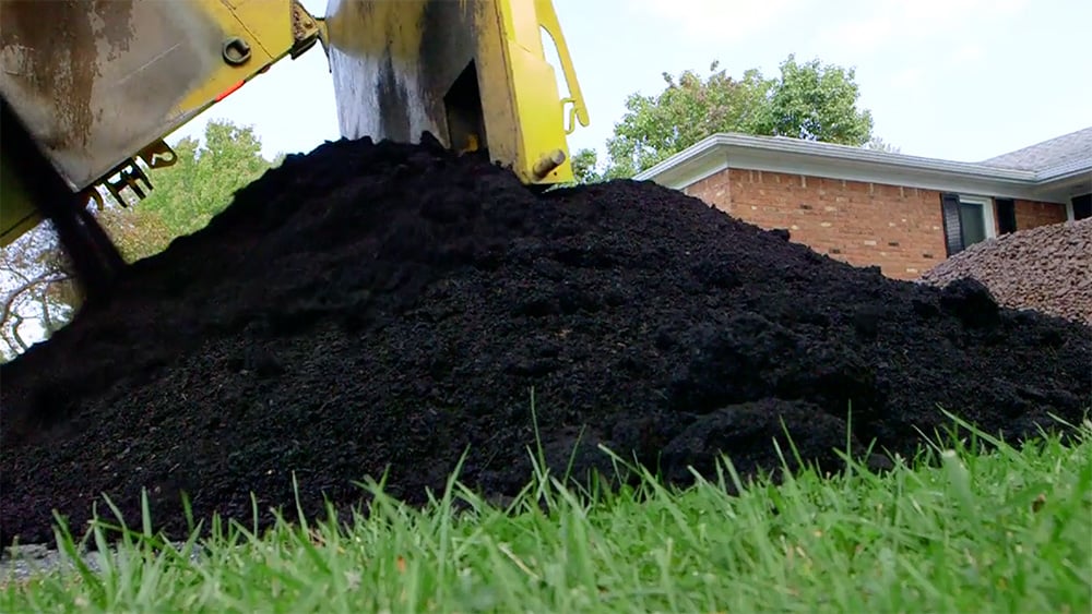 Try compost instead of mulch